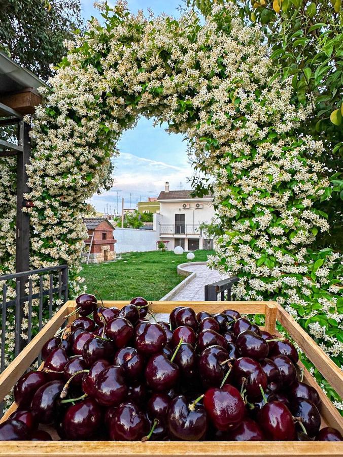 Villa Ardigo - Camera O Appartamento Bari Bagian luar foto